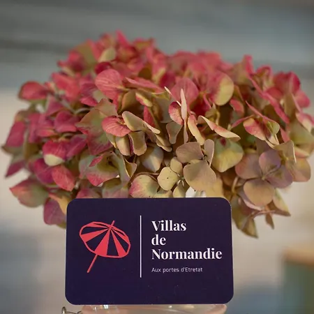 La Fleur De Sel D'etretat