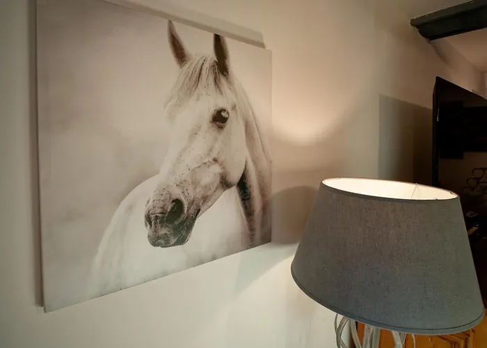 Holiday home La Fleur De Sel D'etretat Bordeaux-Saint-Clair